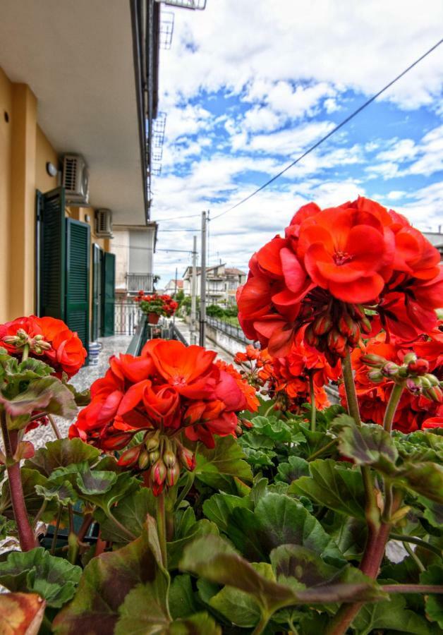 B&B Grazia Capua Exterior foto